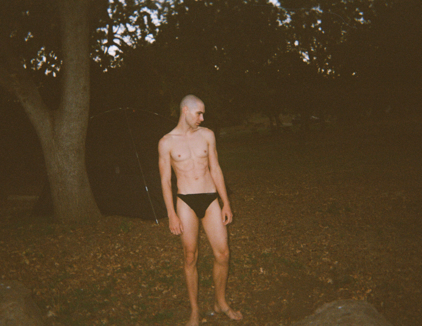 Tencel Bikini Brief - Black