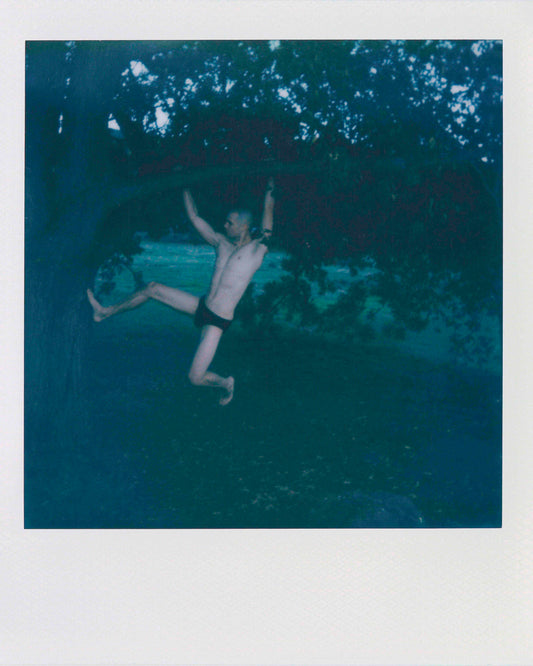 Polaroid 027
