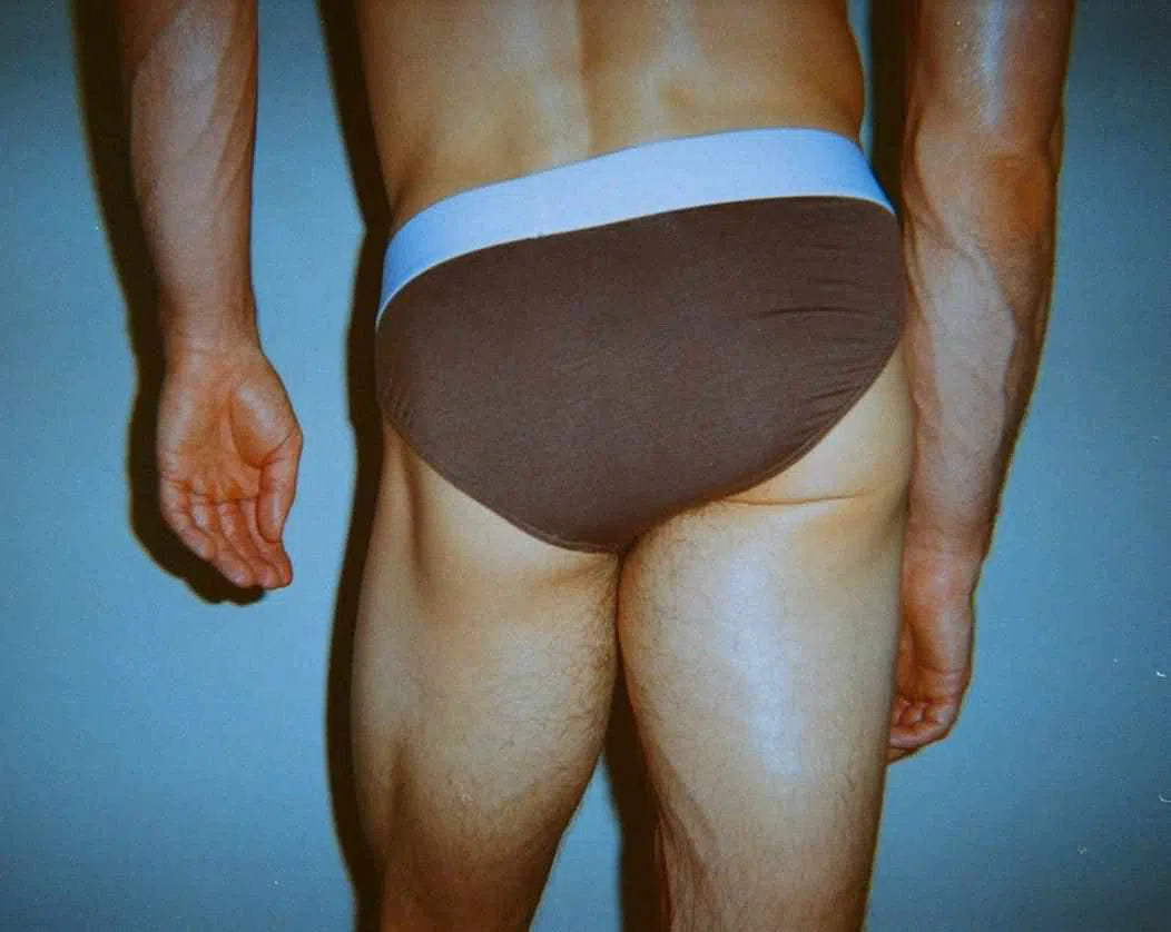 Dominic Albano Collection chocolate brown men's Tencel underwear brief