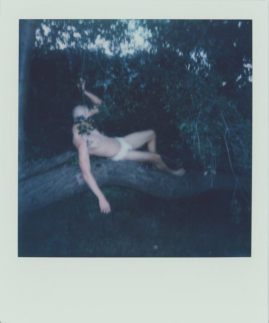Polaroid 049